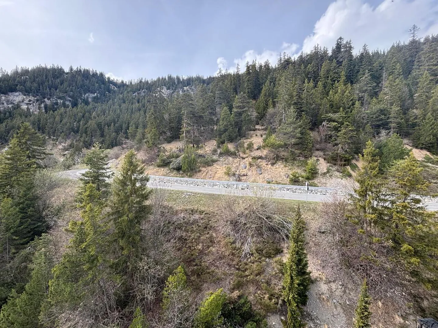 VIM 111 EGLANTINE - Foto 2 di 6