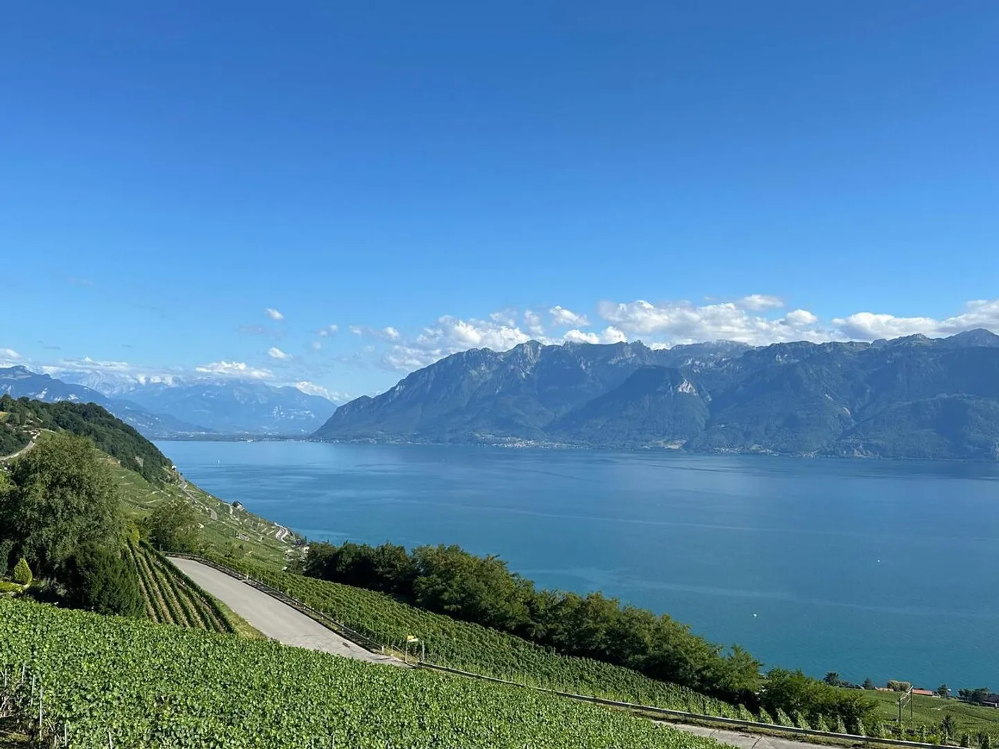 Eccezionale villa indipendente, vista mozzafiato sul lago! - Foto 1 di 7