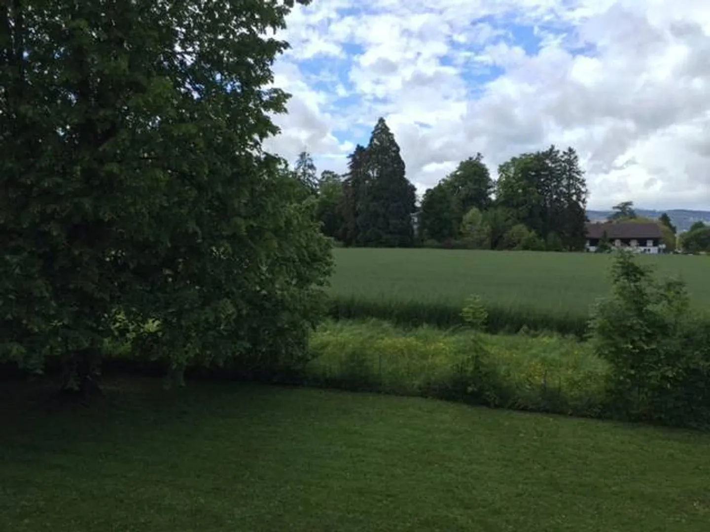 Villa indipendente con giardino, nel centro di Nyon! - Foto 12 di 13