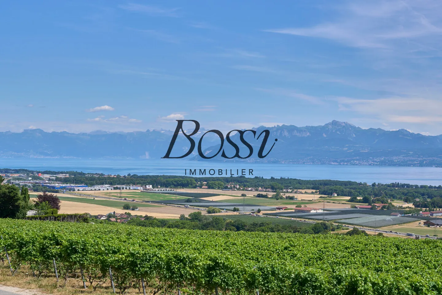 Un belvédère contemporain face au Léman - Photo 3 sur 7