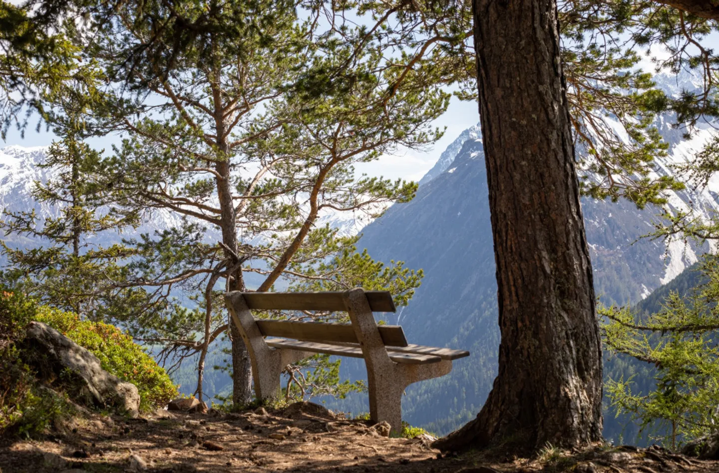 Le Scex-Blanc - Ein außergewöhnliches Alpenrefugium - Foto 9 von 10