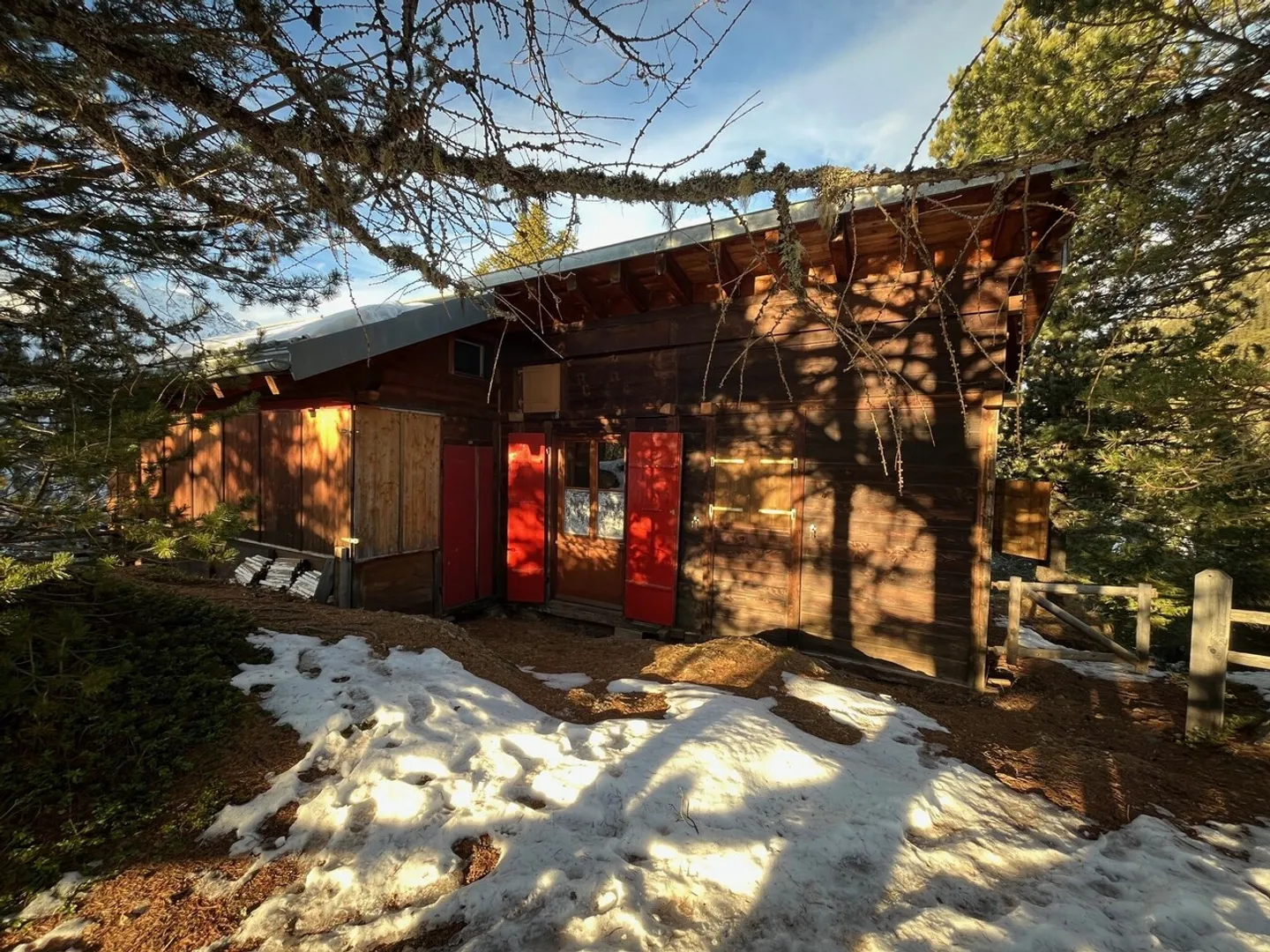 Le Scex-Blanc - Ein außergewöhnliches Alpenrefugium - Foto 4 von 10