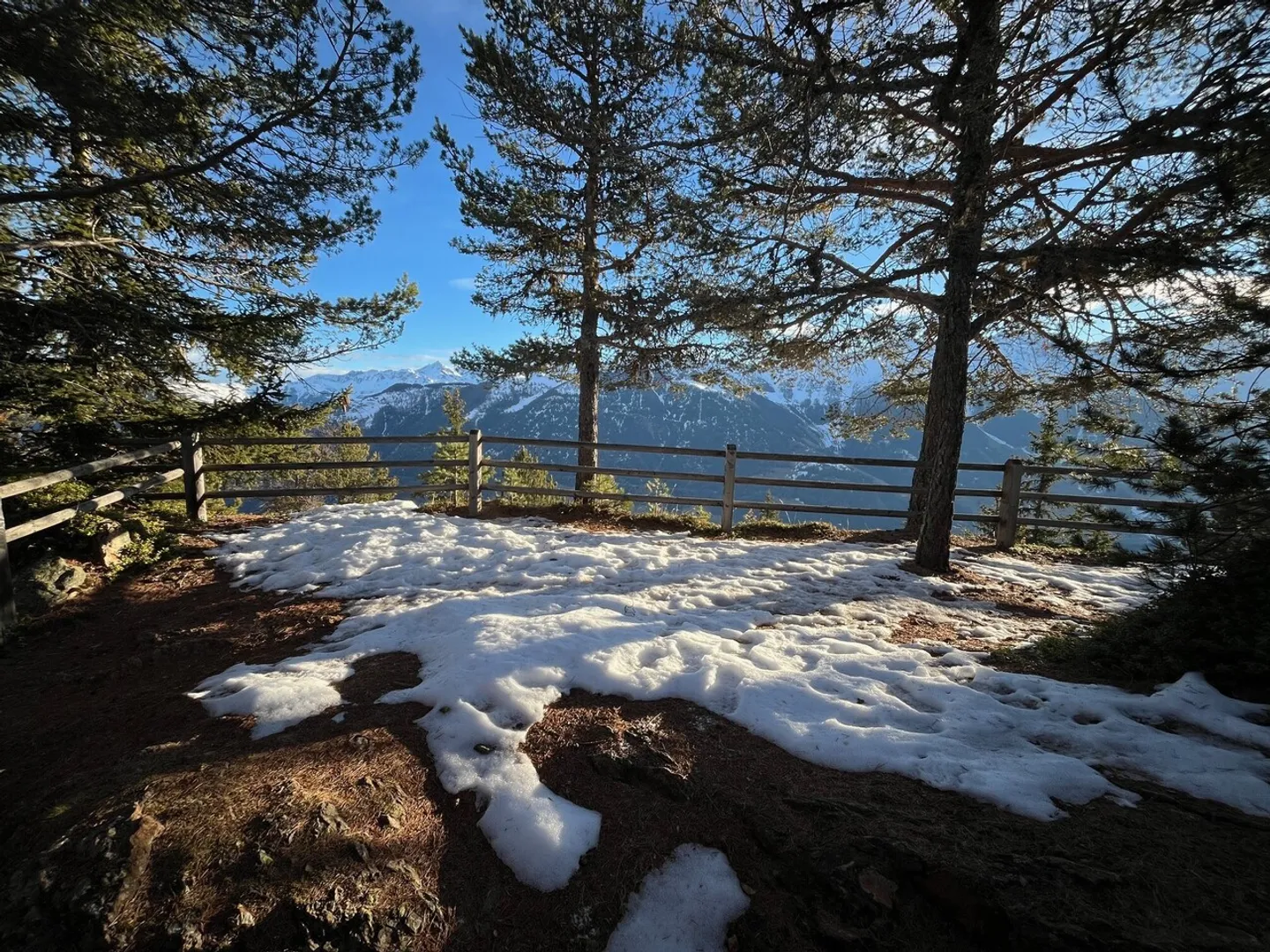 Le Scex-Blanc - Ein außergewöhnliches Alpenrefugium - Foto 10 von 10