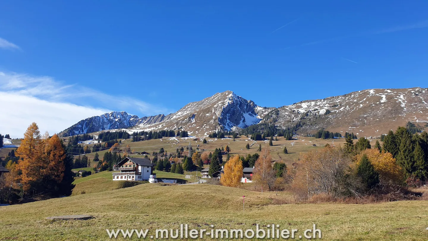 Grand chalet aux Mosses avec appartements et tea-room - Photo 11 sur 13
