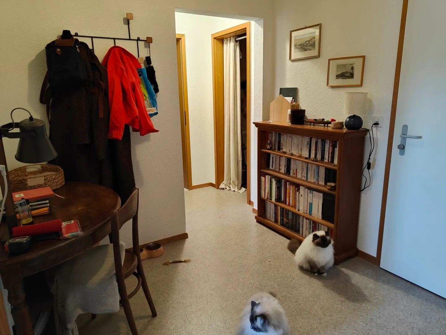 2.5 Room Apartment - Photo 5 of 7