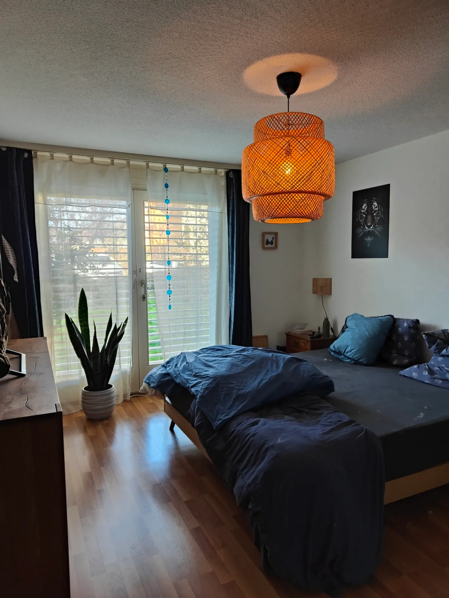 2.5 Room Apartment - Photo 1 of 7