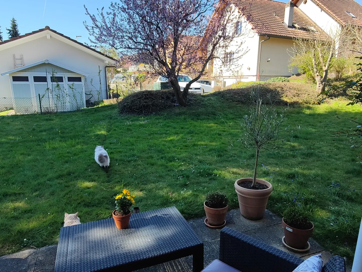 2.5 Room Apartment - Photo 6 of 7