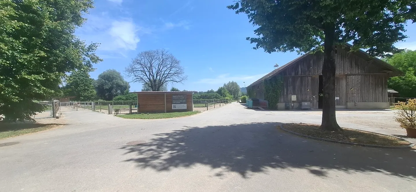 Appartement Charmant à Avenches - Photo 1 sur 10