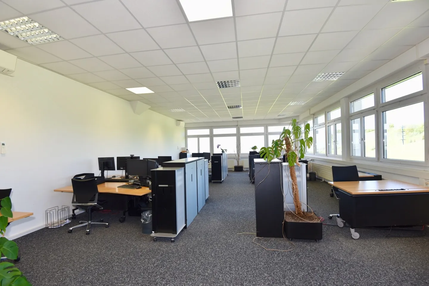 Moderne Büroräumlichkeiten in Immensee - Foto 3 von 10