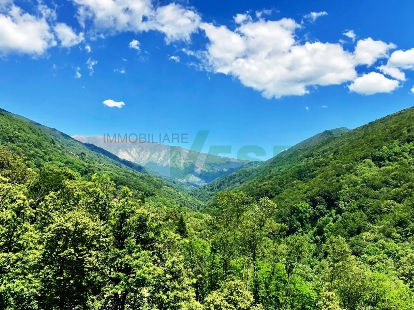 Komfortable und geräumige moderne Villa in idyllischer Lage - Foto 5 von 11