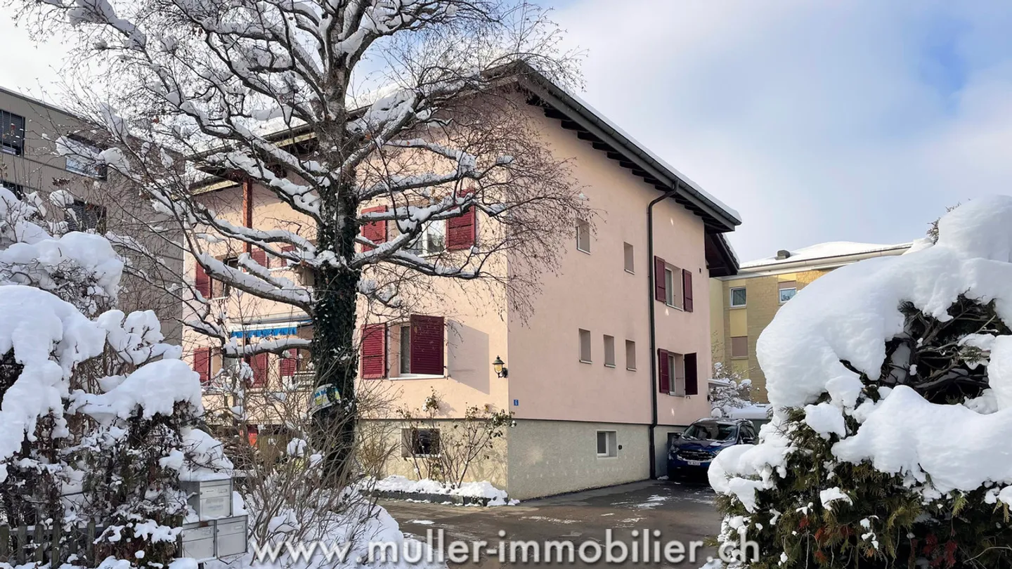 Gebäude mit 3 Wohnungen in Tour-de-Trême - Foto 1 von 13