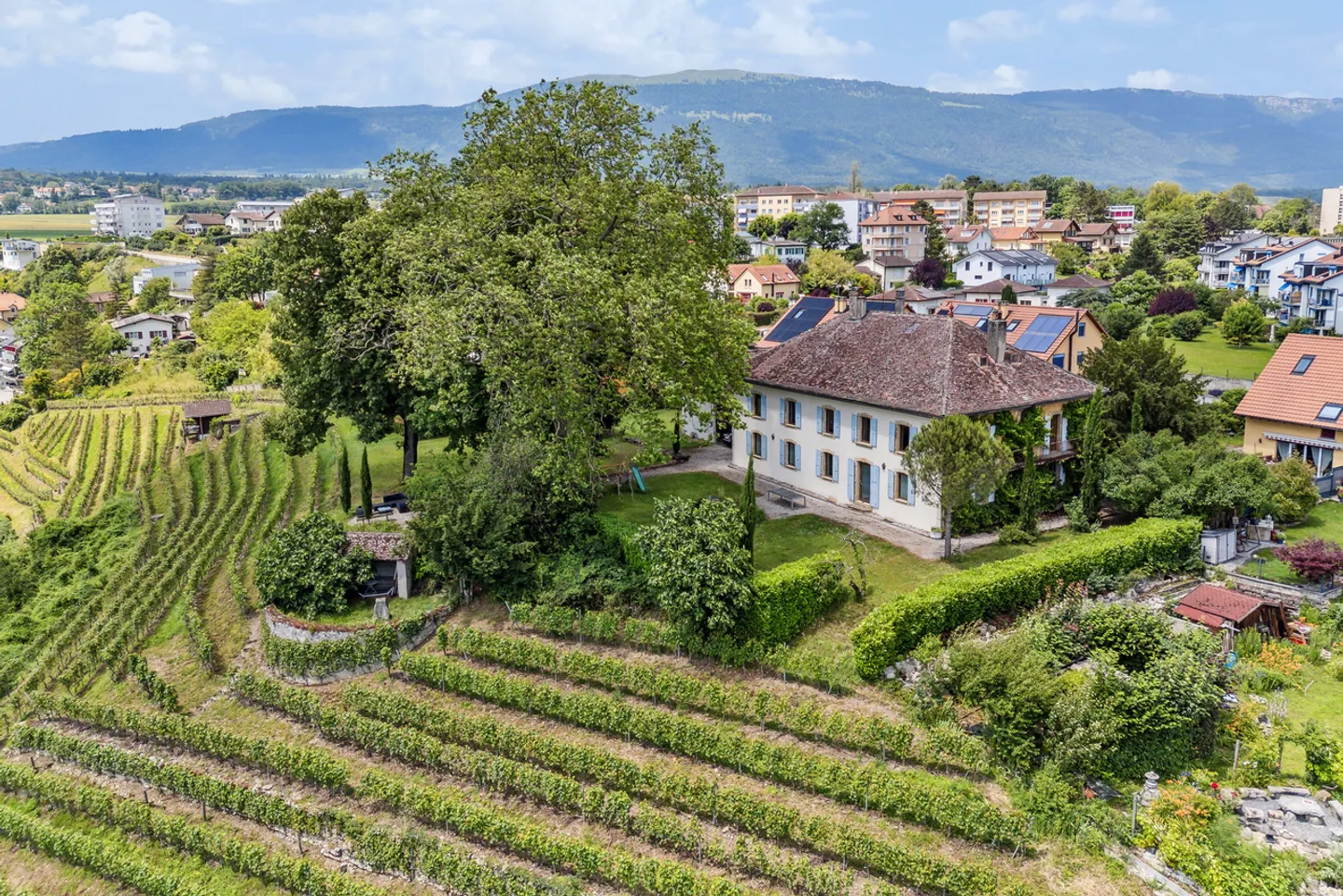 Unique! Master property on a vineyard estate! - Photo 3 of 13