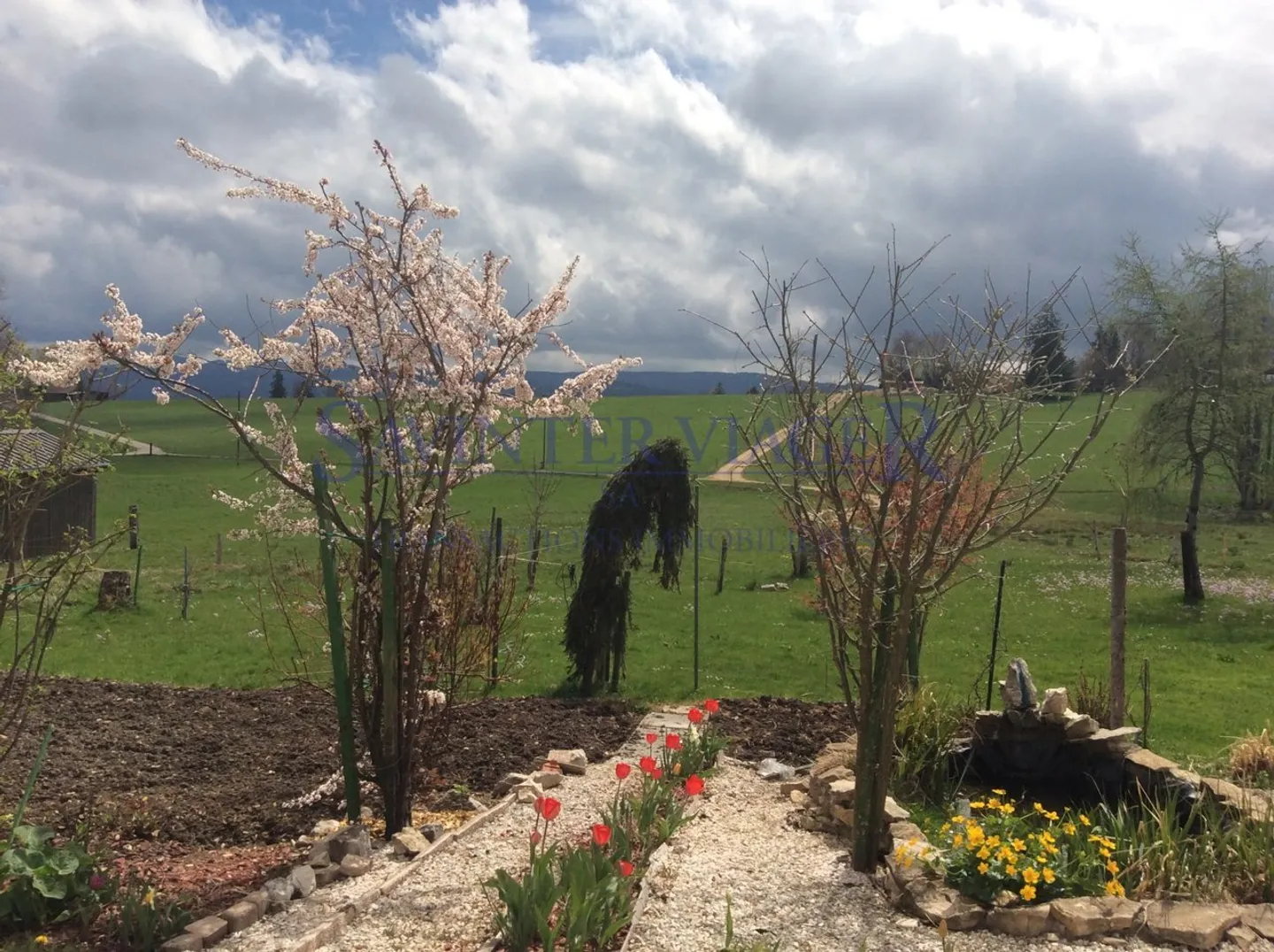 Life annuity, partially free. Additional surfaces to renovate - Photo 9 of 13