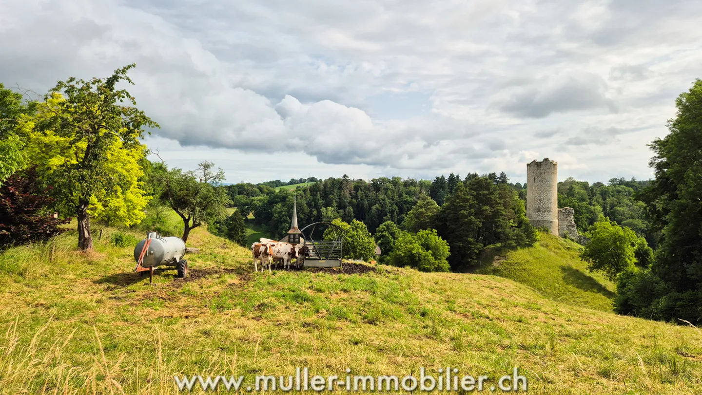 Villa neuve mitoyenne dans un hameau historique de la Broye - Photo 13 sur 13