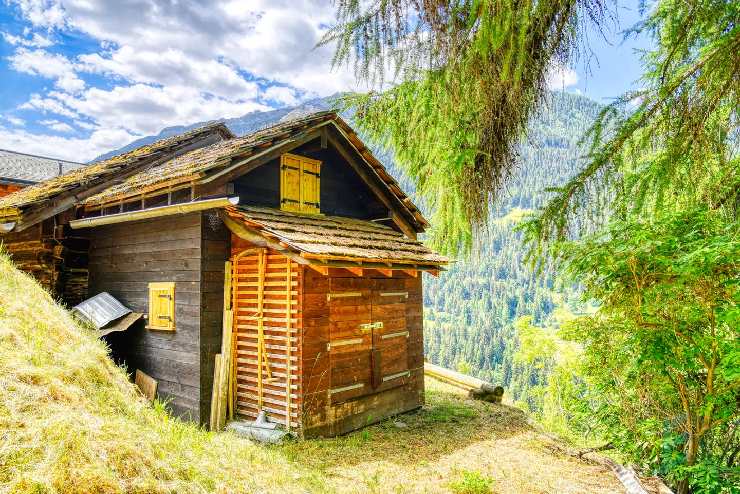 ESCLUSIVO Chalet rustico di 3 ½ locali con vista panoramica - Foto 10 di 13