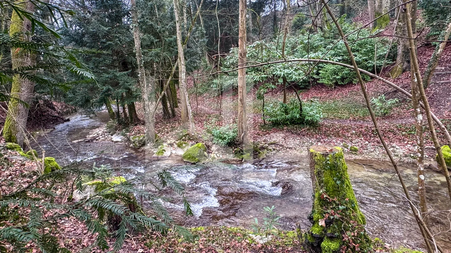 Villa nur wenige Schritte vom See und Stadtzentrum entfernt - Lieferung für das Schuljahr 2026 - Foto 3 von 5