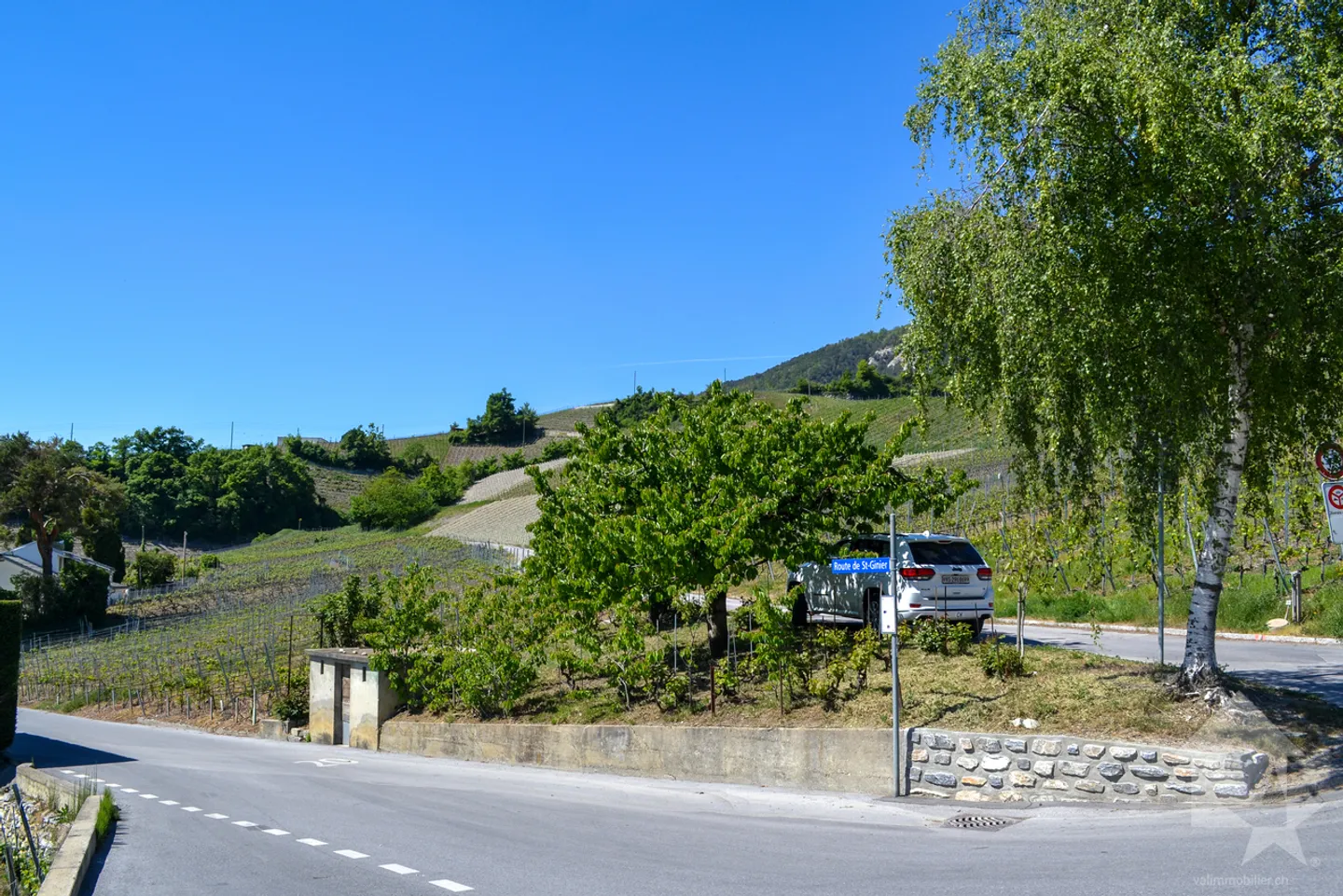Wunderschönes Grundstück mit Blick auf Sierre in einer Villengegend von 1'099 m2 - Foto 7 von 9