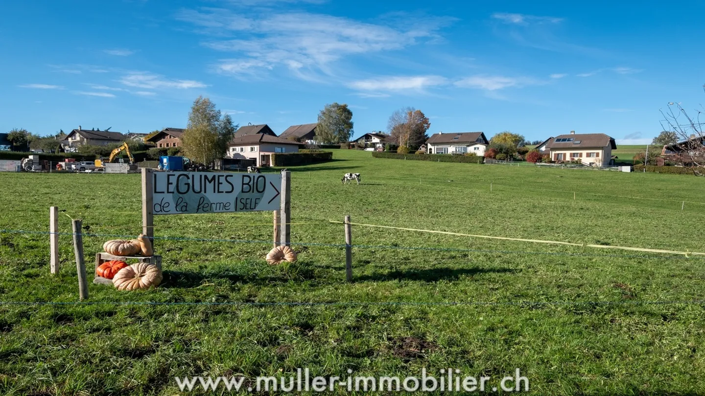 Charmante 2,5 Zimmer mit Balkon und freiem Blick 4 Min von Ursy - Foto 11 von 13