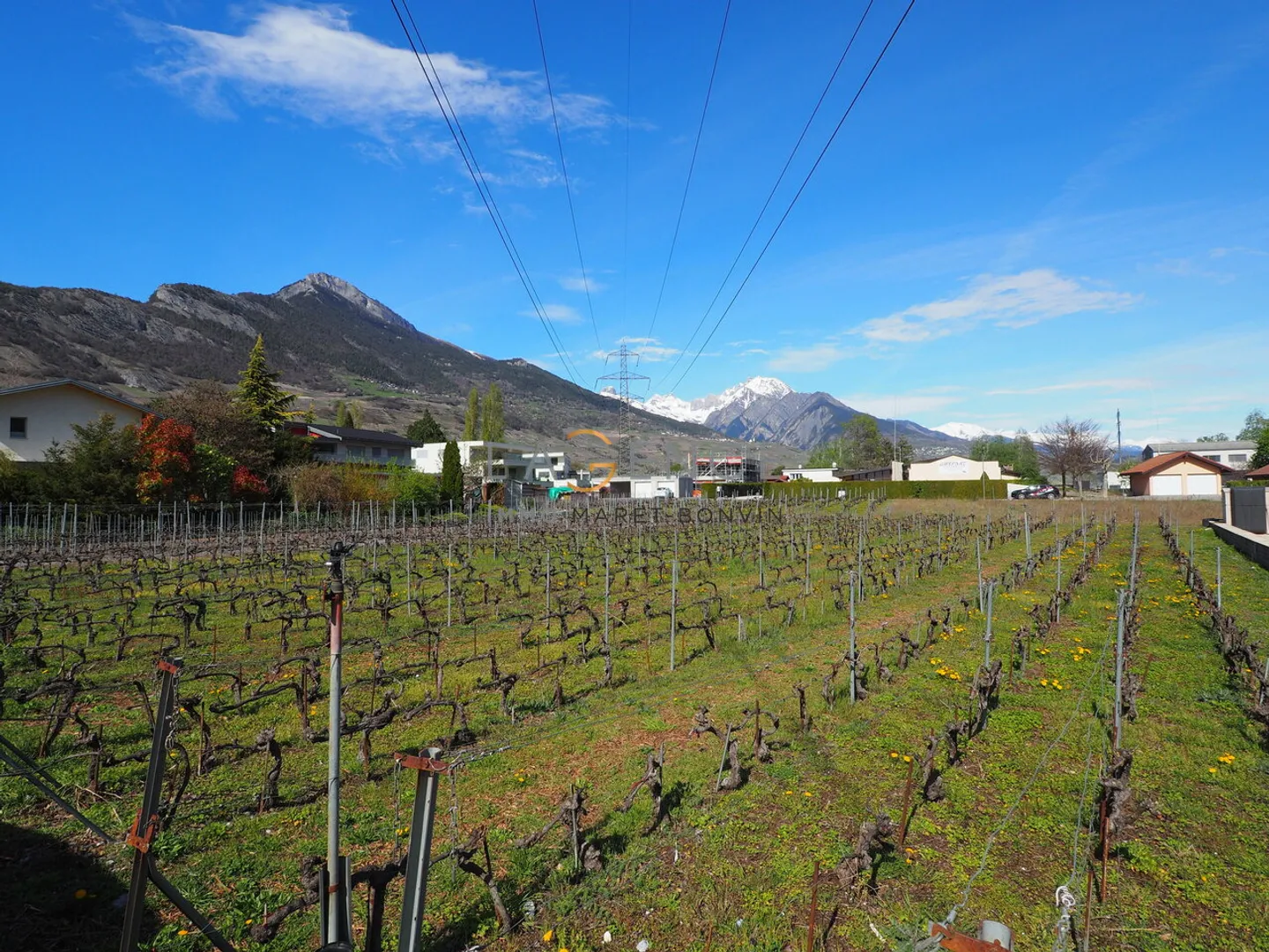 Terrain à construire - Photo 1 sur 4