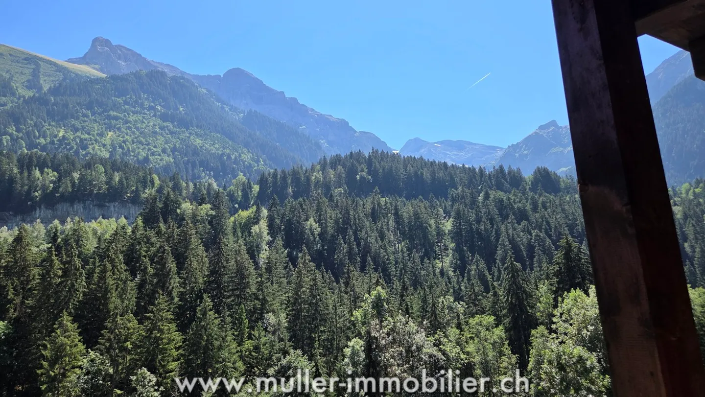 Spacious chalet with a view of the Dents du Midi in Champéry - Photo 10 of 13