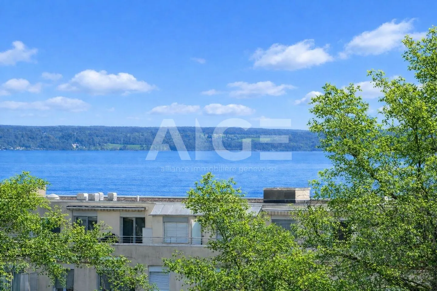 Appartement de standing avec vue lac, proche du Collège du Léman - Photo 4 sur 4