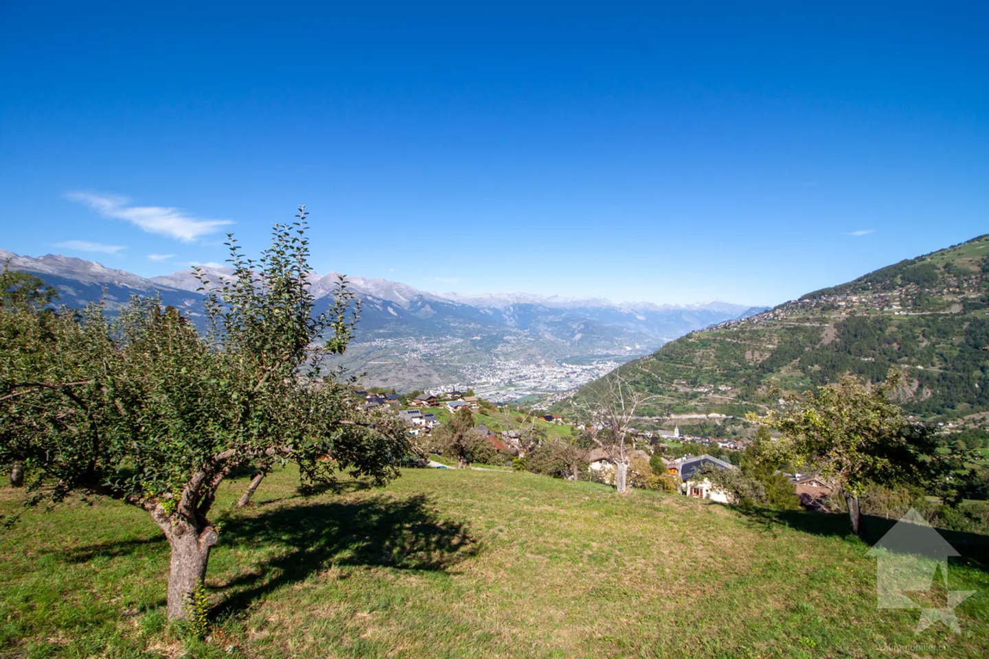 Superbe parcelle de 2'978 m2 à bâtir à 5 minutes des pistes - Foto 1 di 5