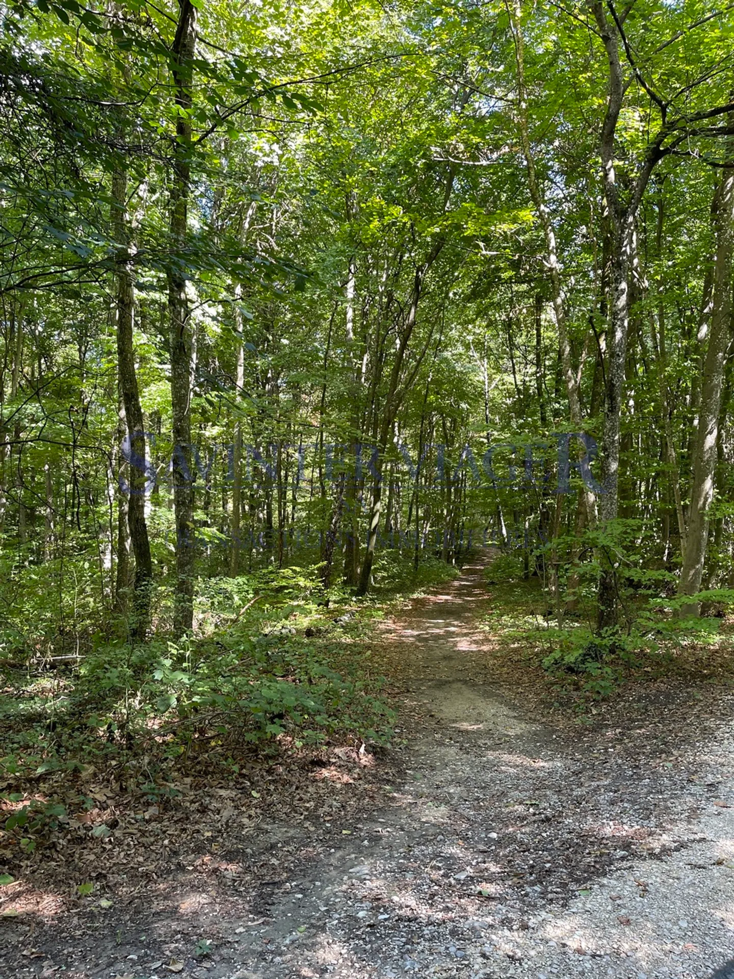 Gland, Domaine Impérial bel appartamento - Viager occupato - Foto 11 di 13