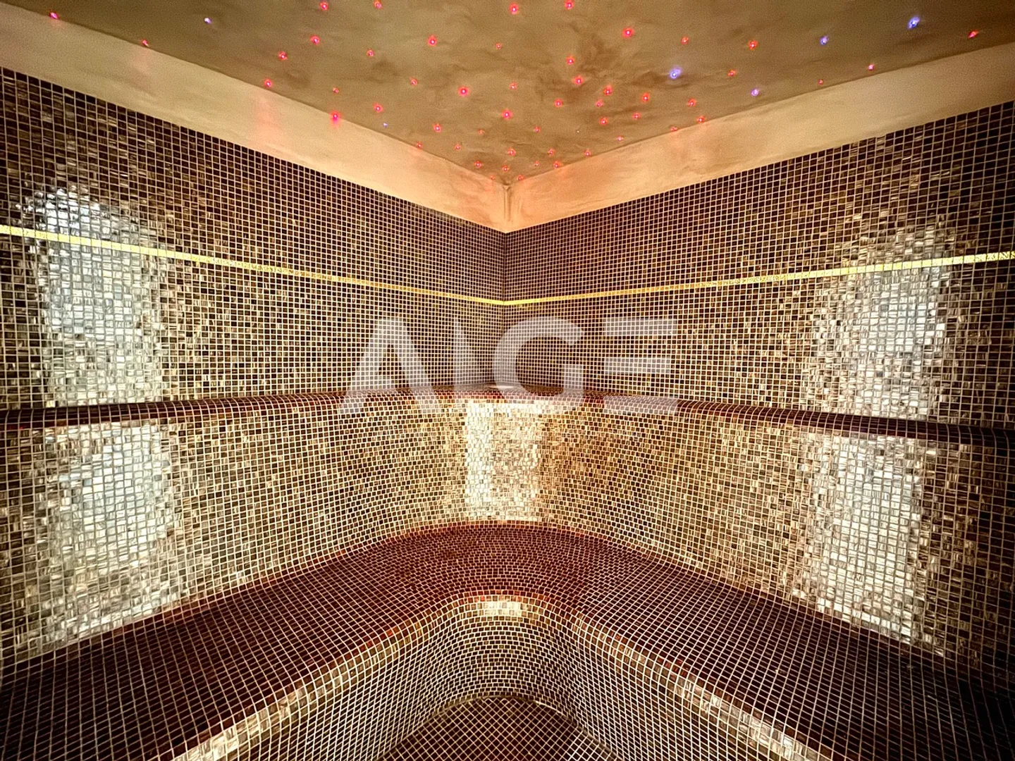 Superbe Villa auf einem 2'600m2 großen Grundstück mit 80m2 Nebengebäude - Foto 9 von 9