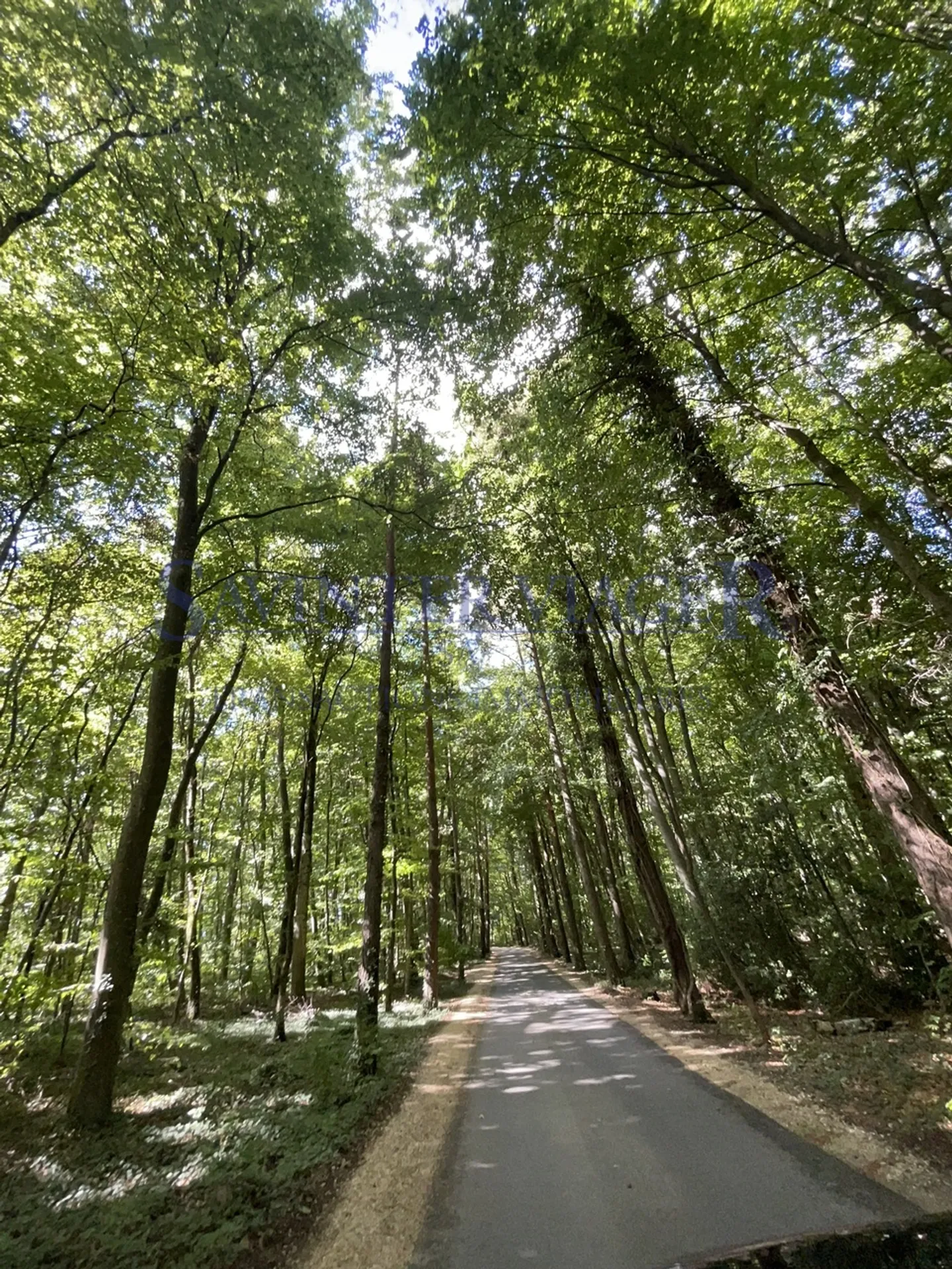 Gland, Domaine Impérial bel appartamento - Viager occupato - Foto 12 di 13