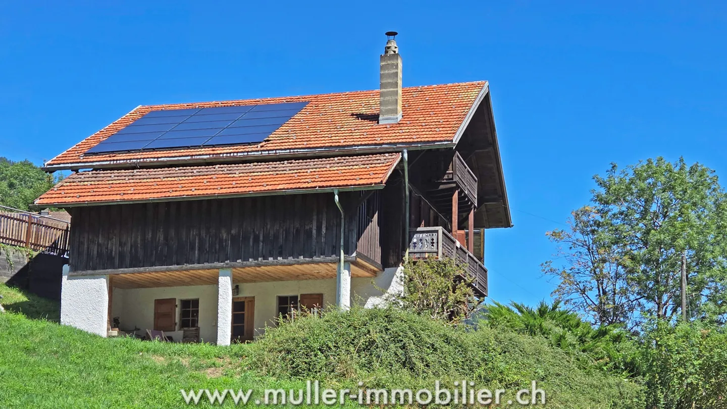 Spacious chalet with a view of the Dents du Midi in Champéry - Photo 1 of 13