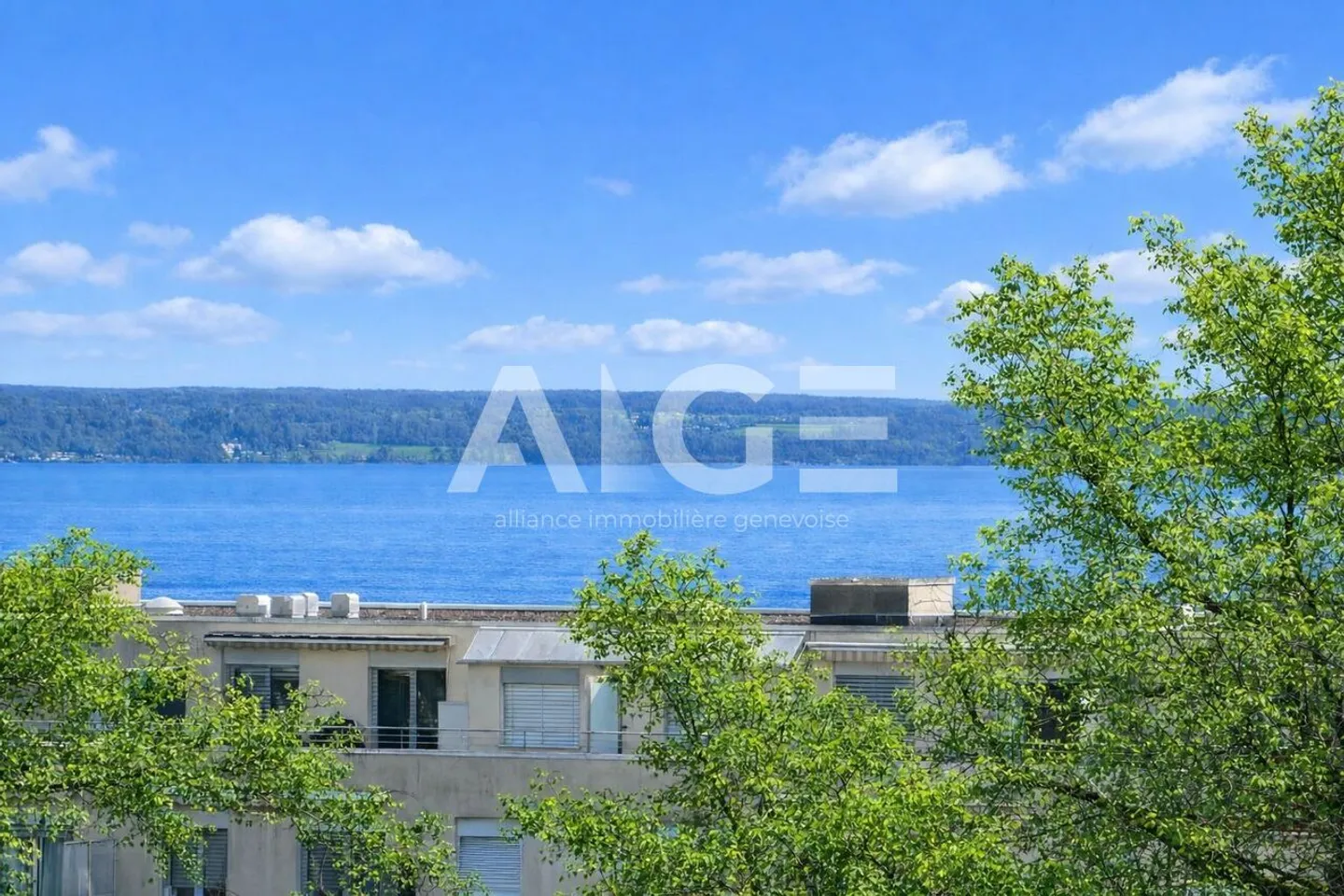 6 rooms with lake view in Versoix - Photo 1 of 3