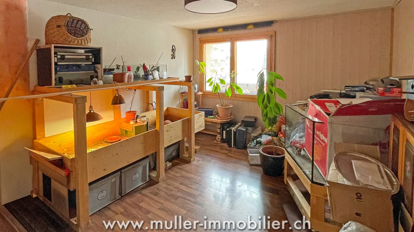 Gebäude mit 3 Wohnungen in Tour-de-Trême - Foto 11 von 13