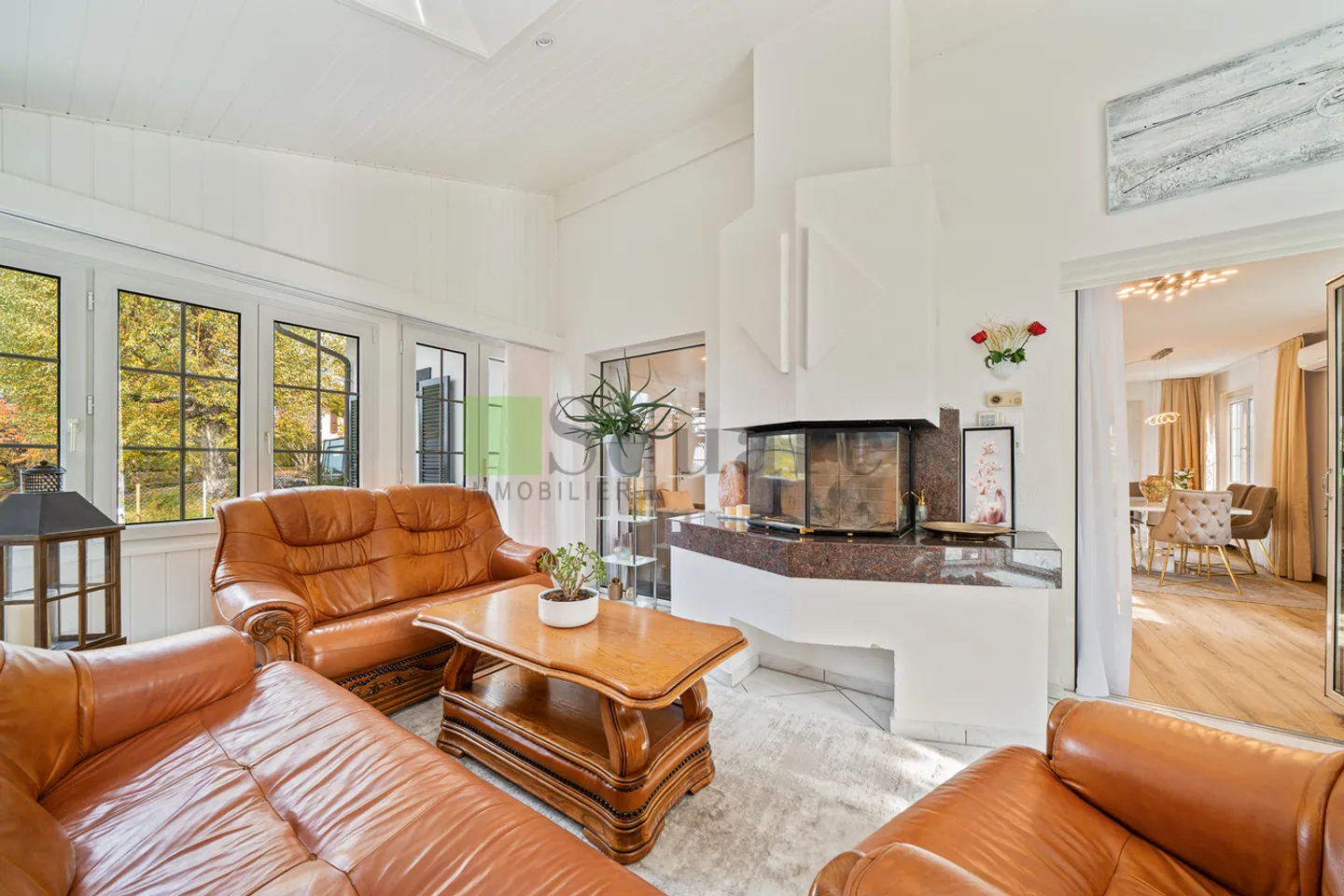 Magnifique villa individuelle de 7 pièces - Photo 5 sur 10