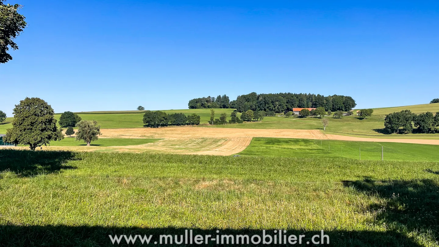 Charmantes Haus mit Blick auf die Felder, nahe Romont! - Foto 11 von 13