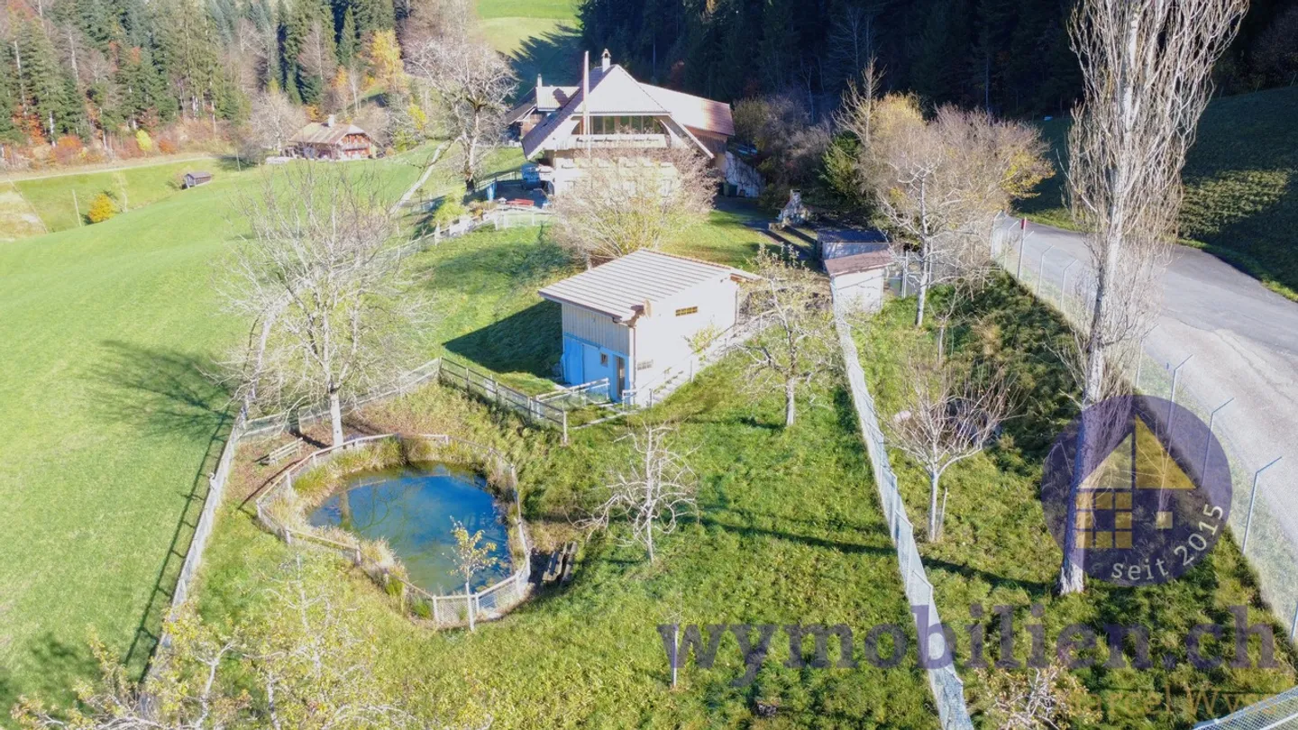 Dreamlike Property in the Heart of Emmental - Photo 13 of 13