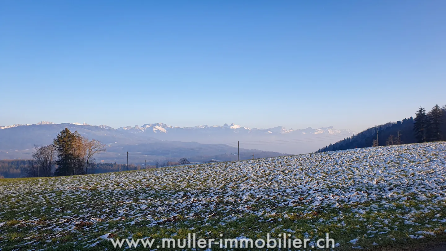Wunderschönes Reihenhaus mit 6 Zimmern und grünem Grundstück! - Foto 13 von 13