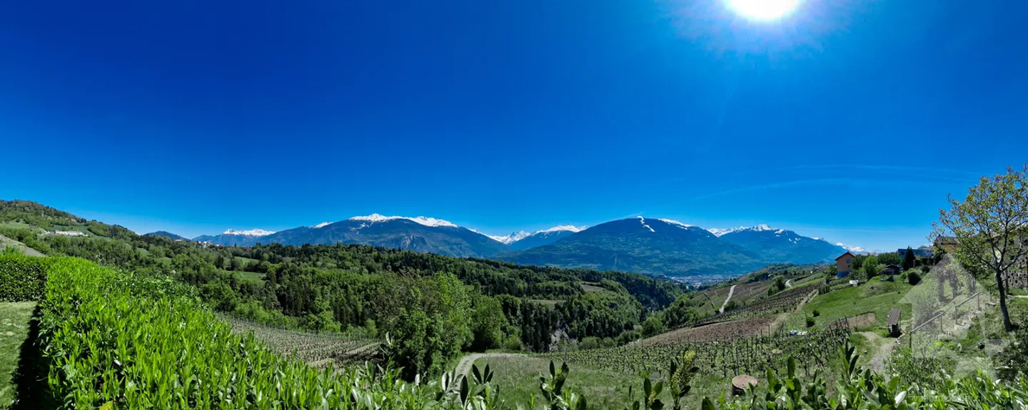 5,5-Zimmer-Villa am Rande von Weinbergen, atemberaubende Aussicht, ruhig, sonnig - Foto 12 von 12