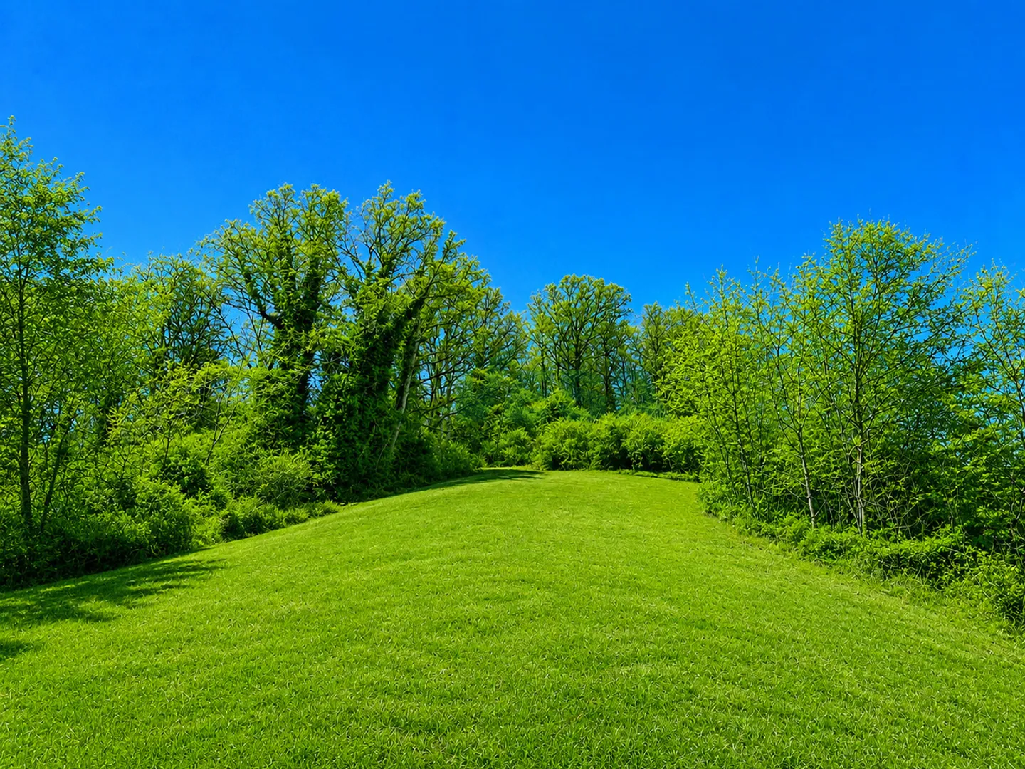 Beau terrain constructible plat dans une zone tranquille et verte - Photo 4 sur 5