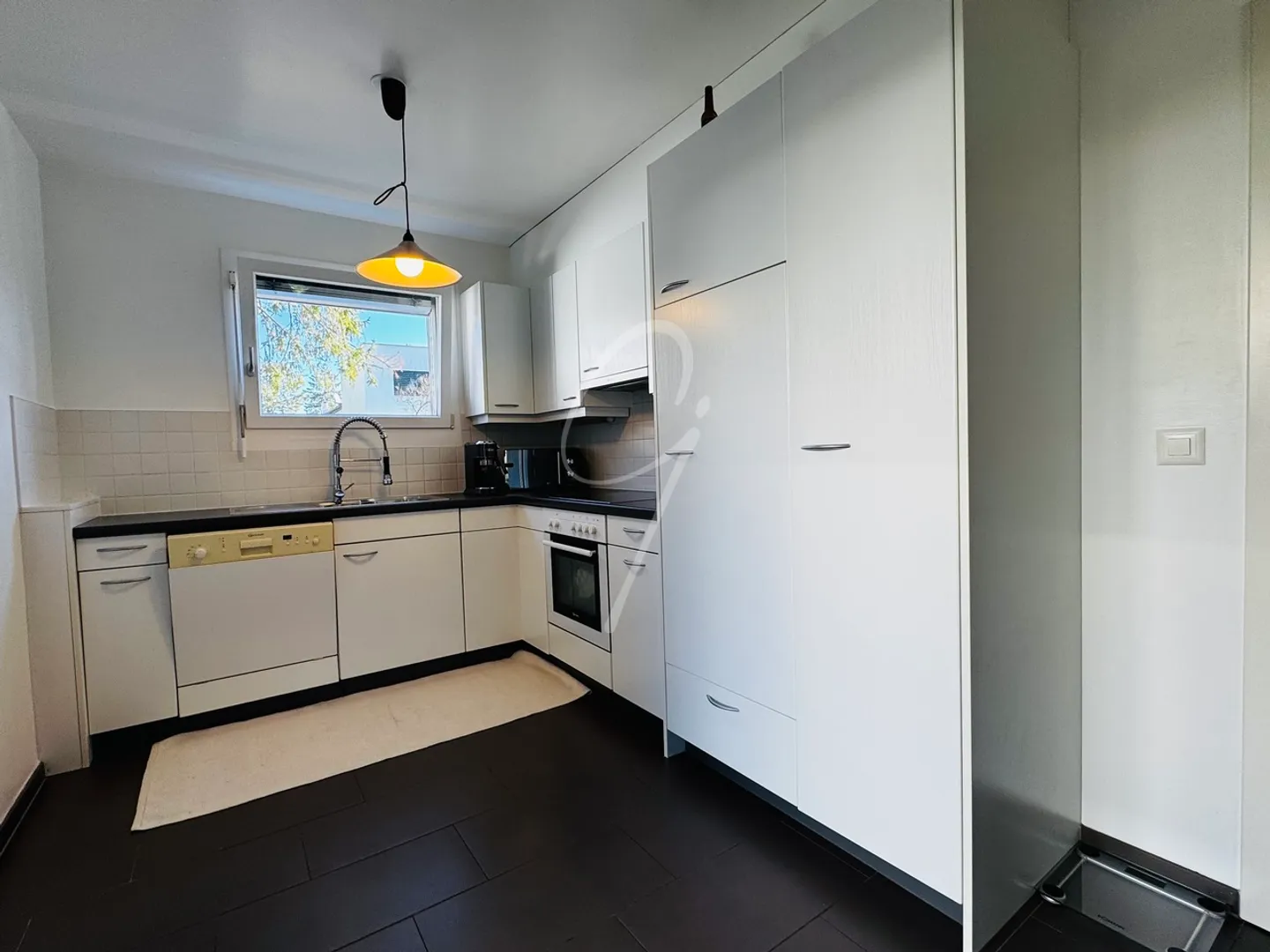 Double house in a private setting in Geneva - Photo 4 of 10