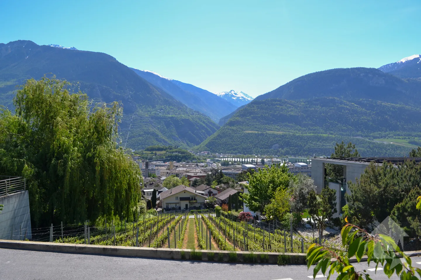 Wunderschönes Grundstück mit Blick auf Sierre in einer Villengegend von 1'099 m2 - Foto 5 von 9