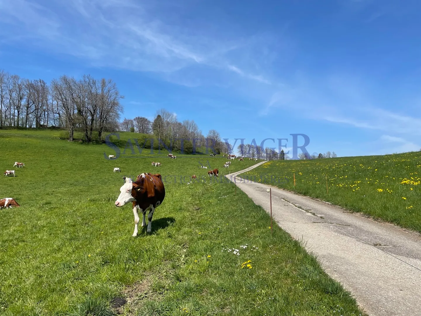 VIAGER. Châtel-St-Denis, Ruhige Wohnung, Garten PPE 2034m2 - Foto 6 von 13