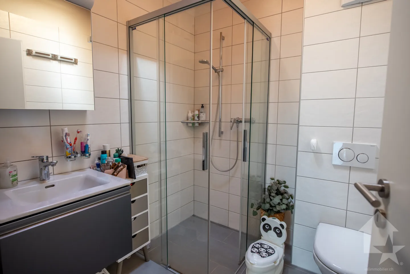Superbe Attique avec Vue Alpine - Photo 9 sur 13