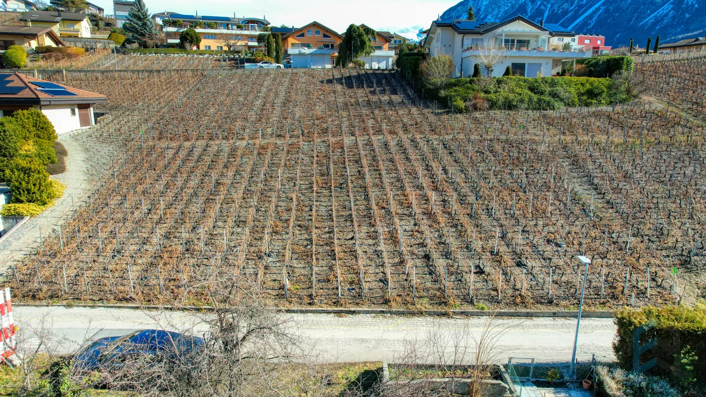 EXKLUSIVITÄT Wunderschönes Baugrundstück von 804 m² in Miège (Noble-Contrée) - Foto 2 von 8