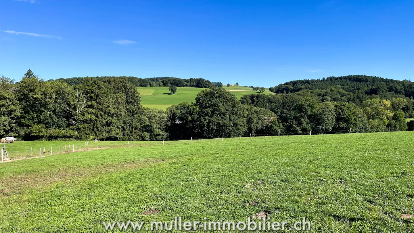 Charmantes Haus mit Blick auf die Felder, nahe Romont! - Foto 10 von 13