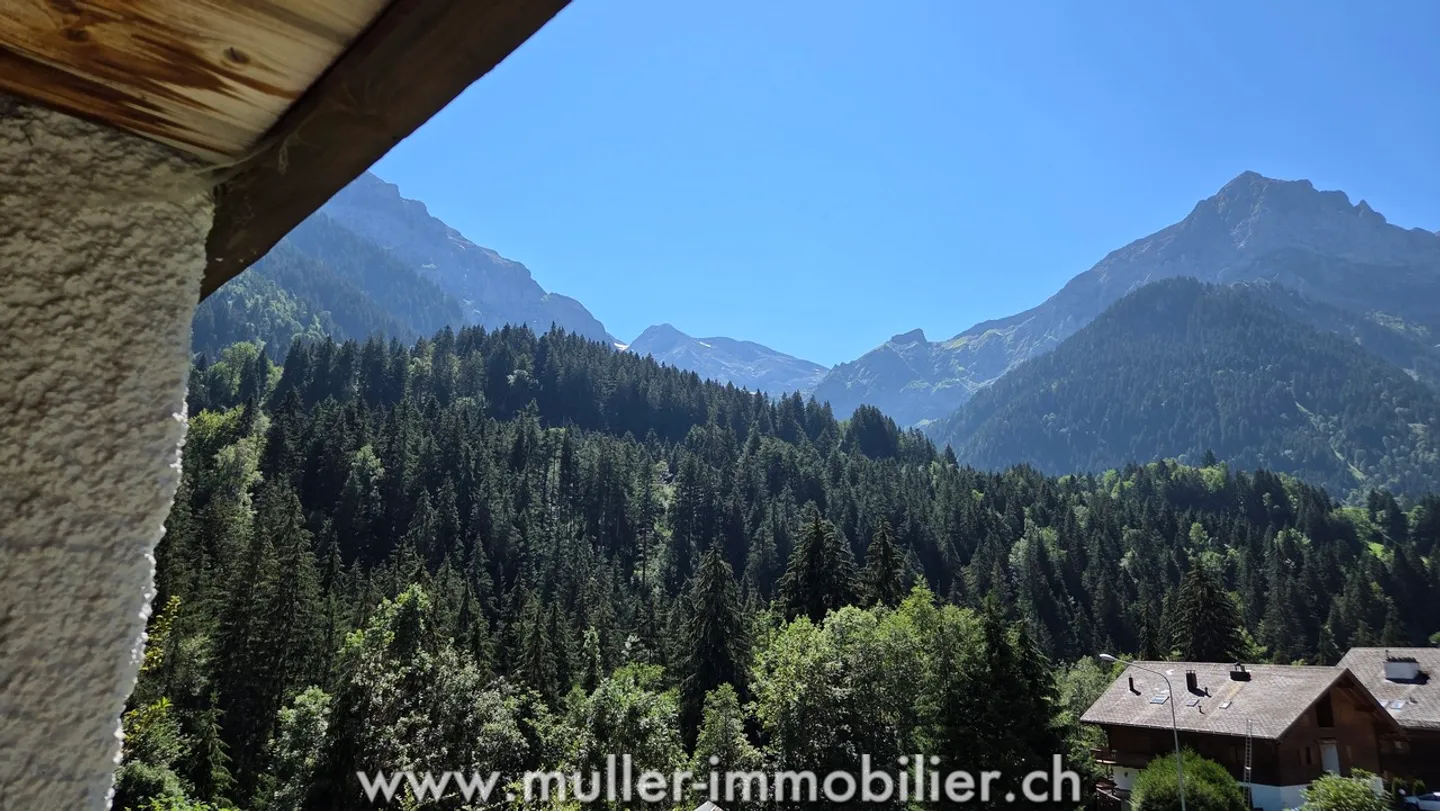 Spacious chalet with a view of the Dents du Midi in Champéry - Photo 8 of 13