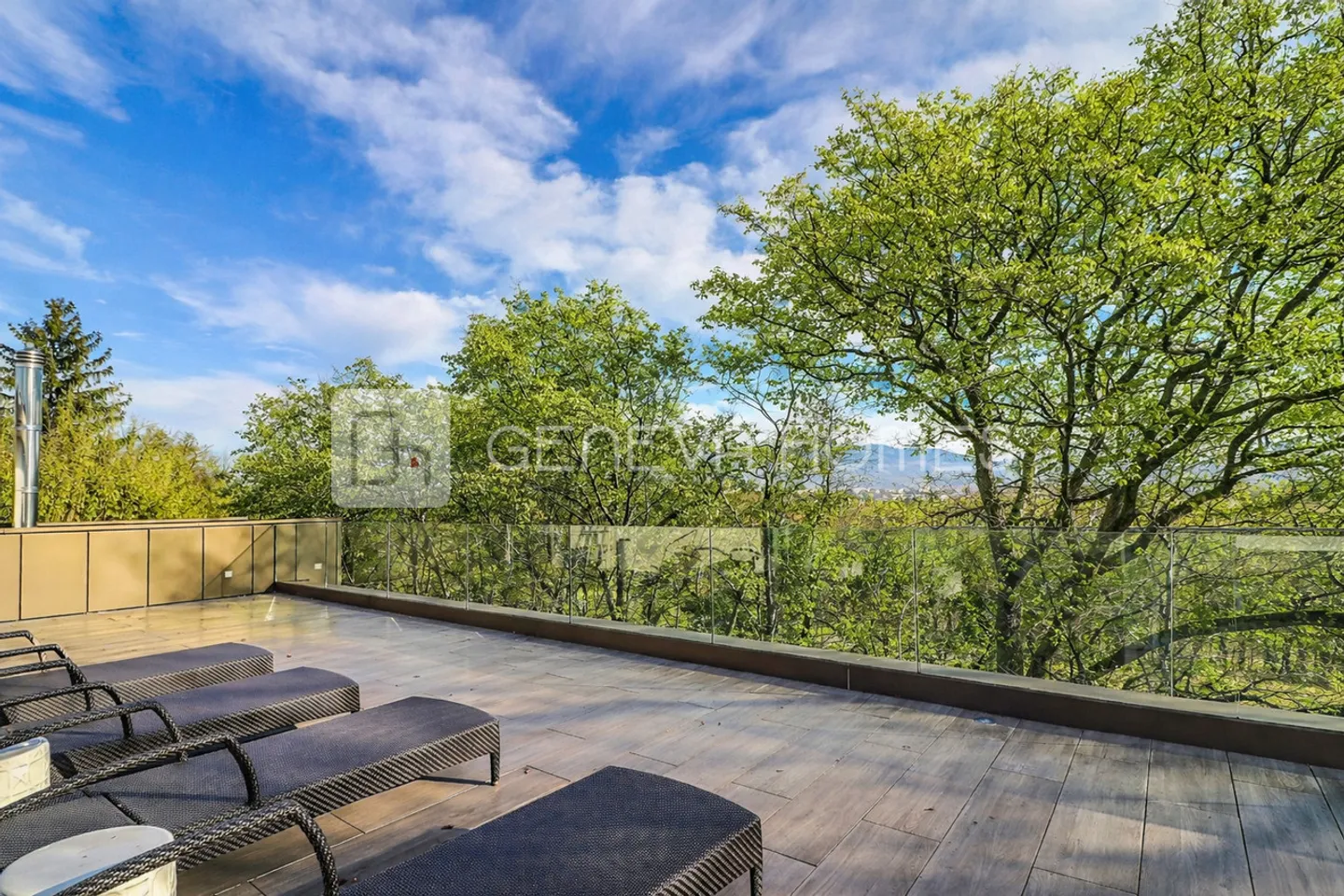 Exceptional Penthouse in the Heart of Conches - Photo 9 of 9