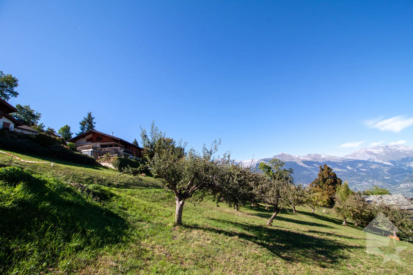 Superbe parcelle de 2'978 m2 à bâtir à 5 minutes des pistes - Foto 3 di 5