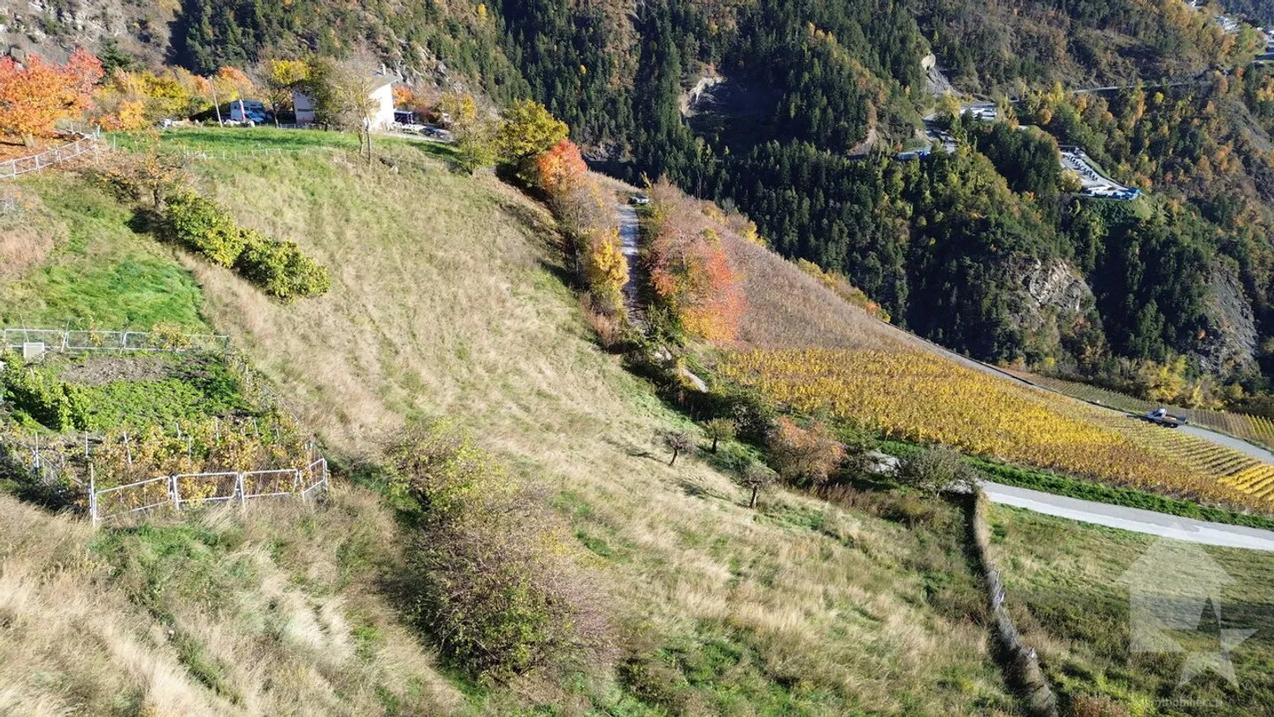 Land for sale in the heights of Conthey with a breathtaking view - Photo 5 of 8