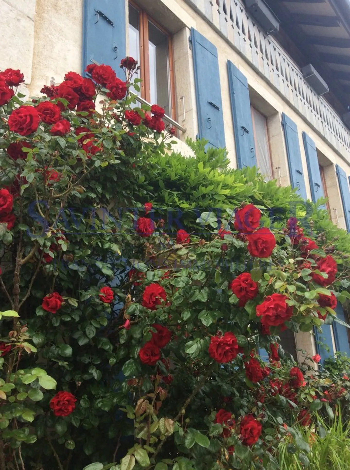 Fontaines-sur-Grandson, Magnificent Village House - Term Sale - Photo 6 of 13