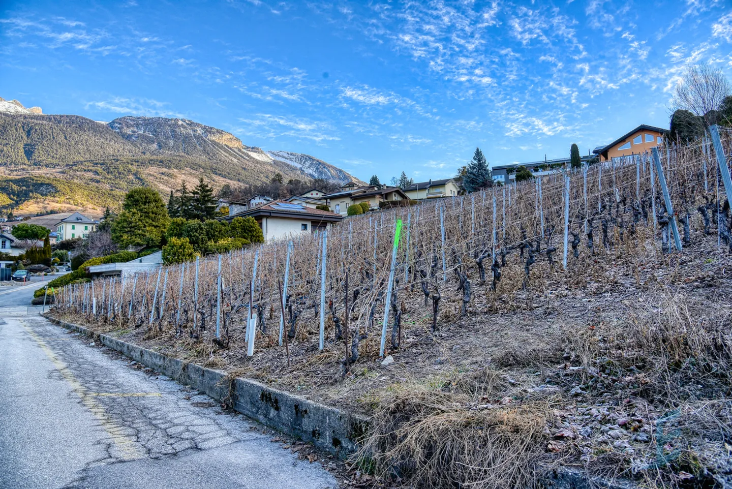 EXKLUSIVITÄT Wunderschönes Baugrundstück von 804 m² in Miège (Noble-Contrée) - Foto 8 von 8